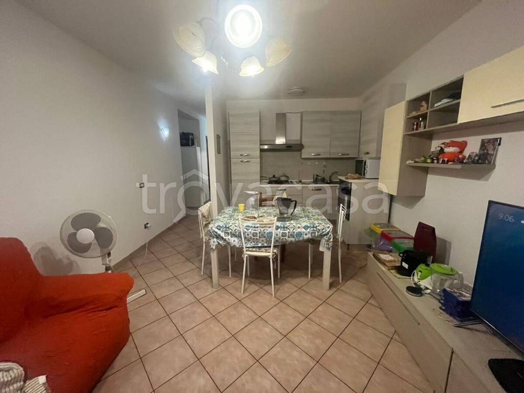 immagine annuncio 9 di 15