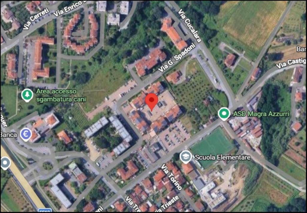 immagine annuncio 11 di 12