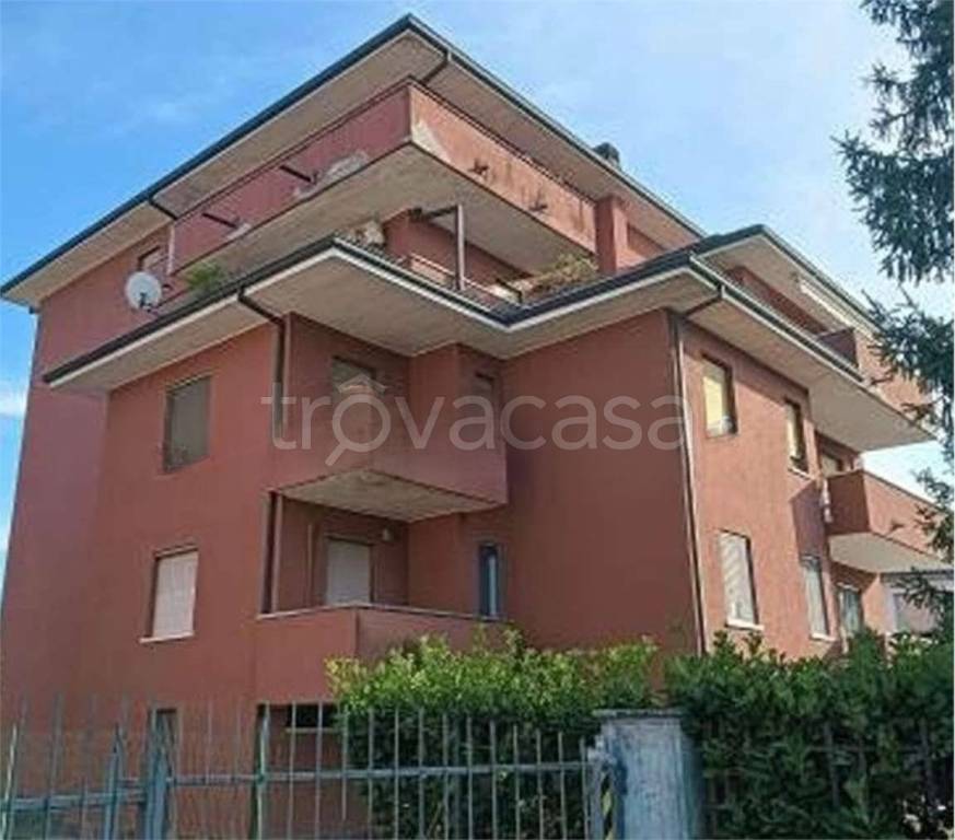 immagine annuncio 5 di 8