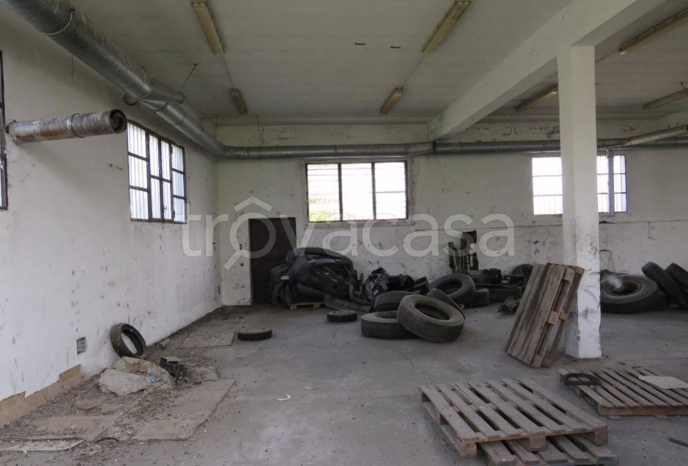 immagine annuncio 7 di 13