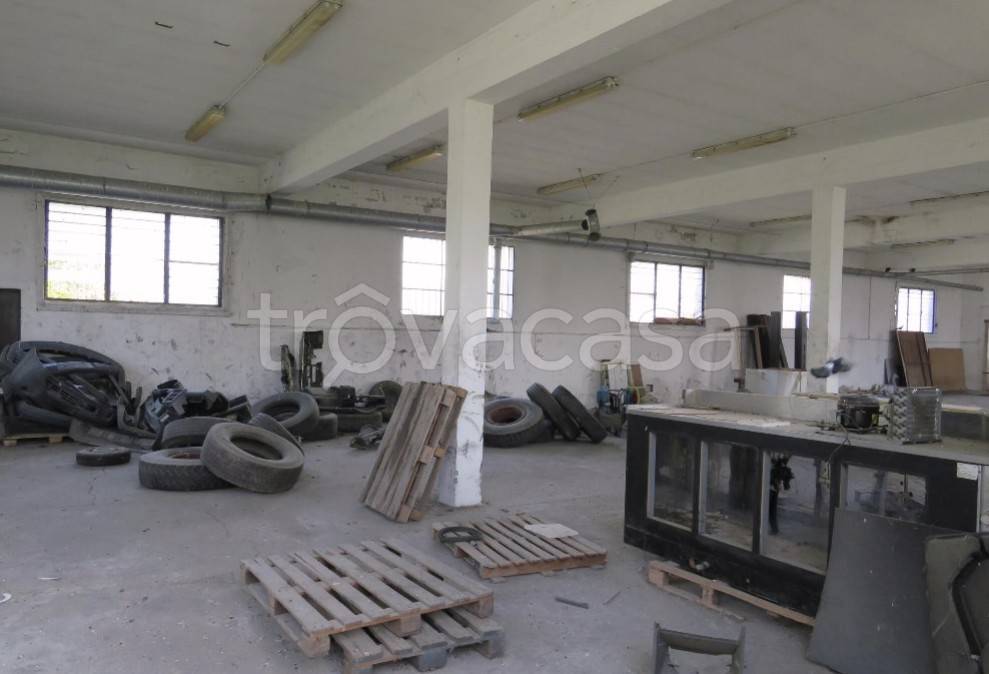 immagine annuncio 8 di 13