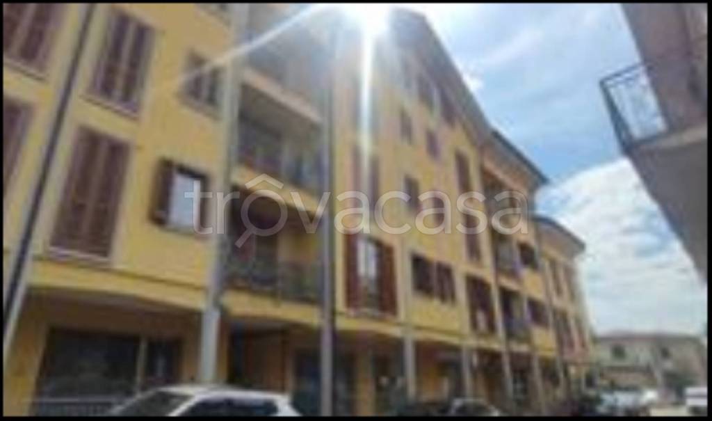 immagine annuncio 3 di 14