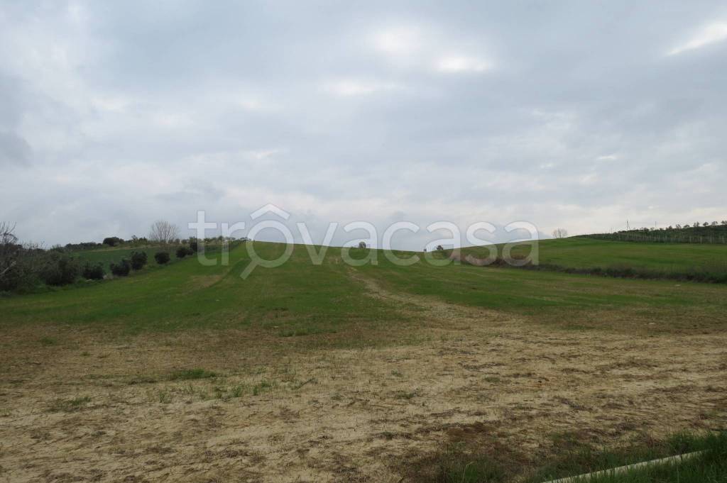 immagine annuncio 2 di 6