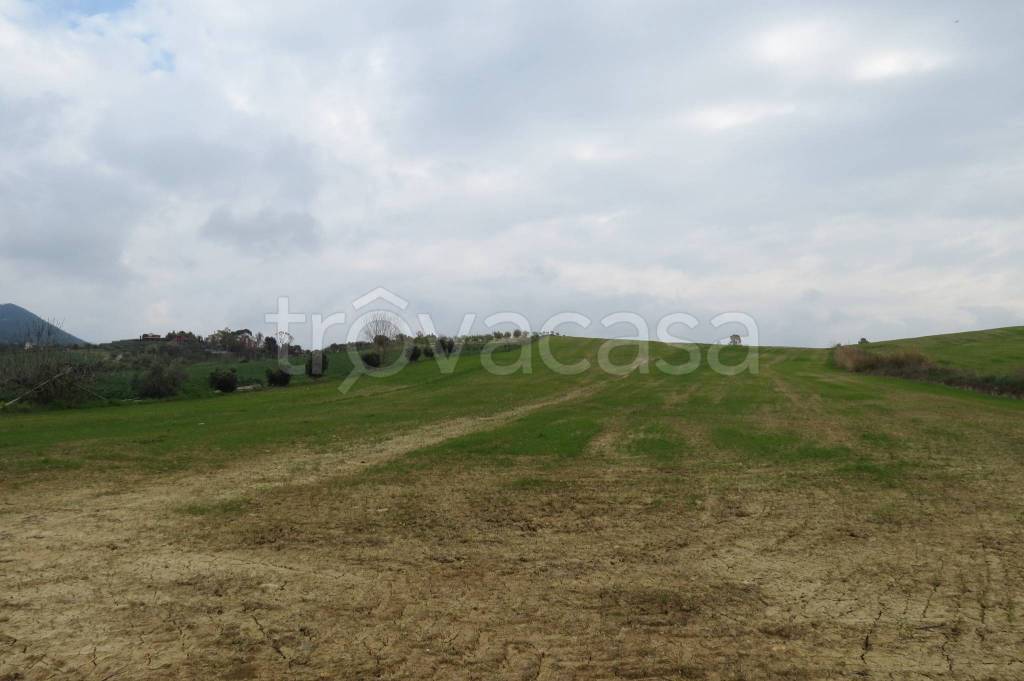 immagine annuncio 4 di 6