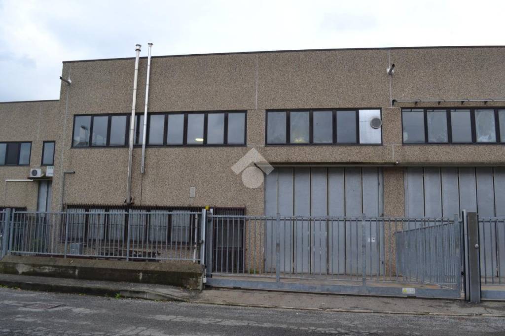 immagine annuncio 1 di 11