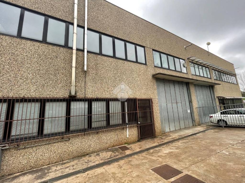 immagine annuncio 2 di 11