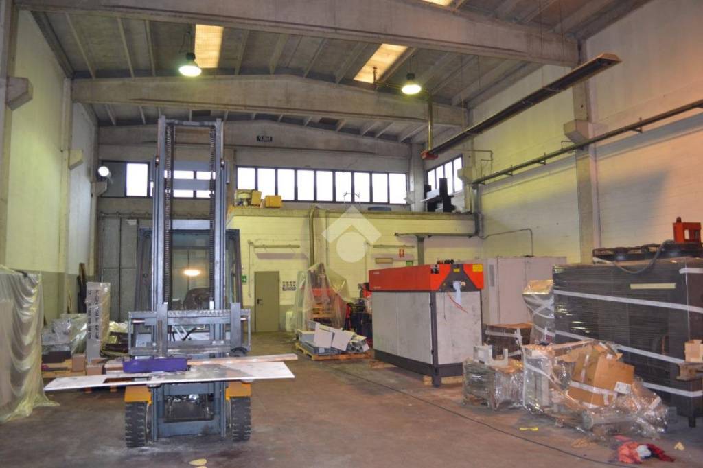 immagine annuncio 3 di 11