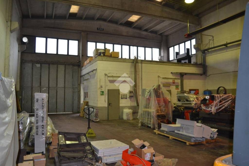 immagine annuncio 6 di 11