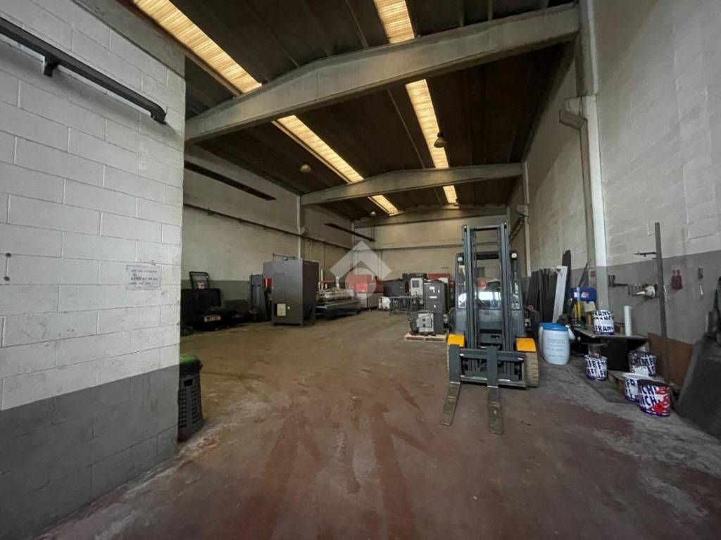 immagine annuncio 7 di 11