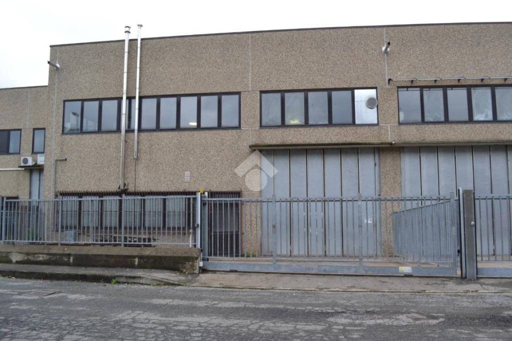 immagine annuncio 10 di 11