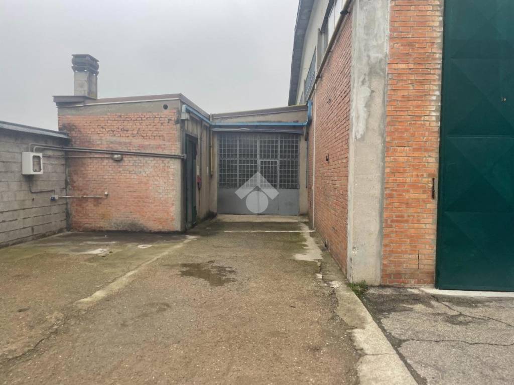 immagine annuncio 9 di 15