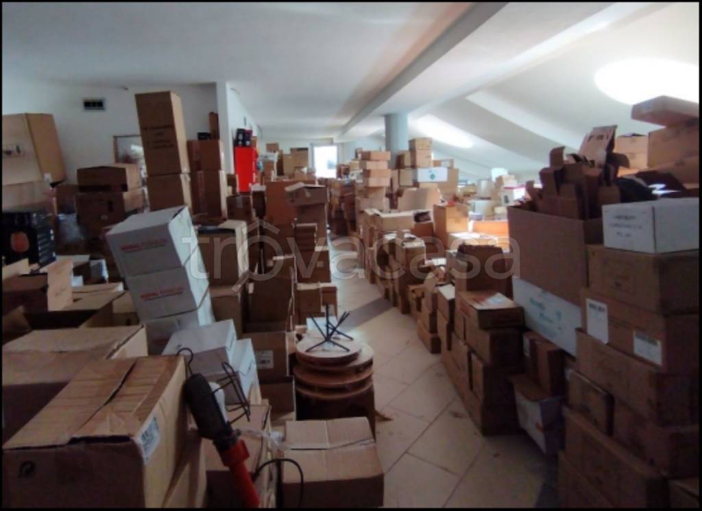 immagine annuncio 4 di 12