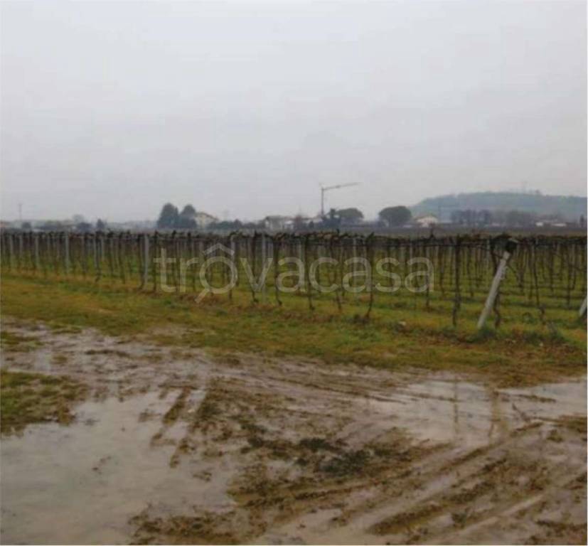 immagine annuncio 3 di 14