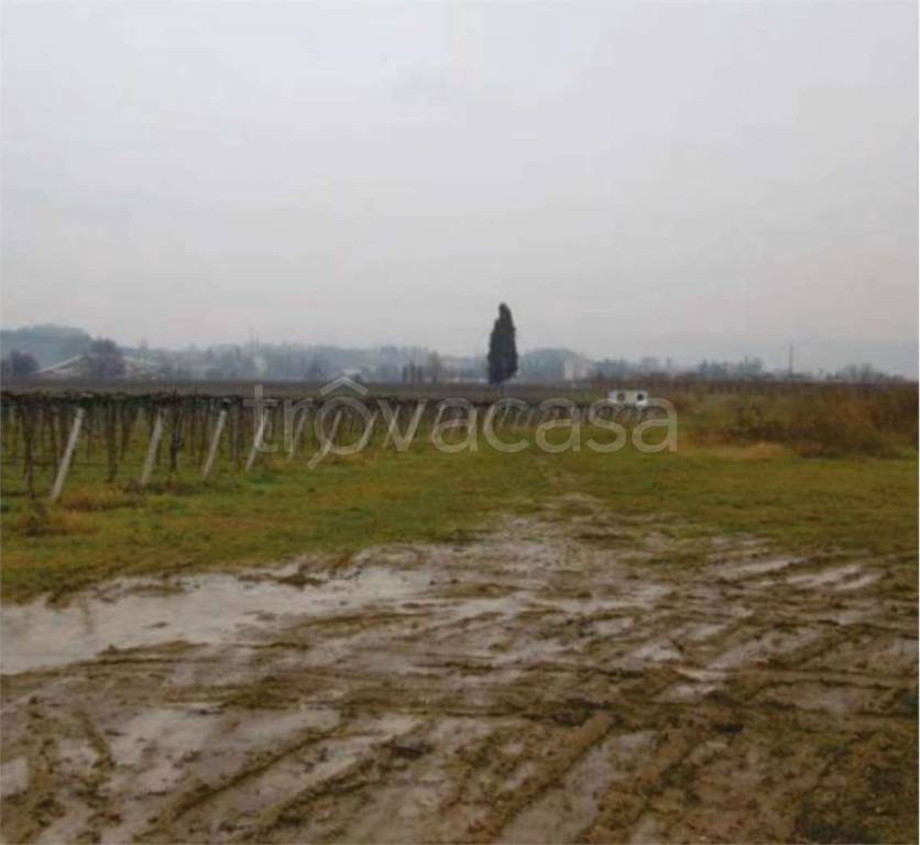 immagine annuncio 4 di 14