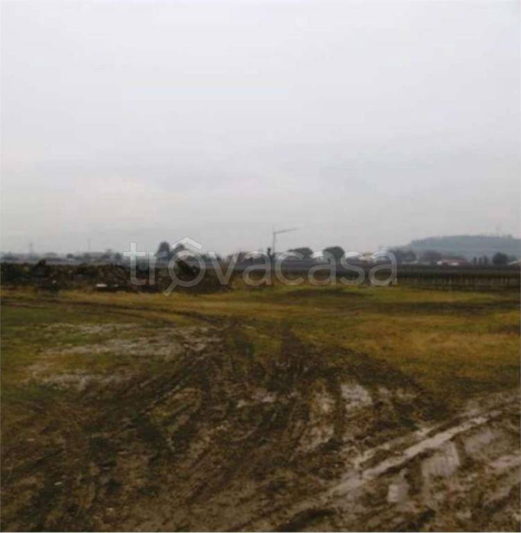 immagine annuncio 5 di 14