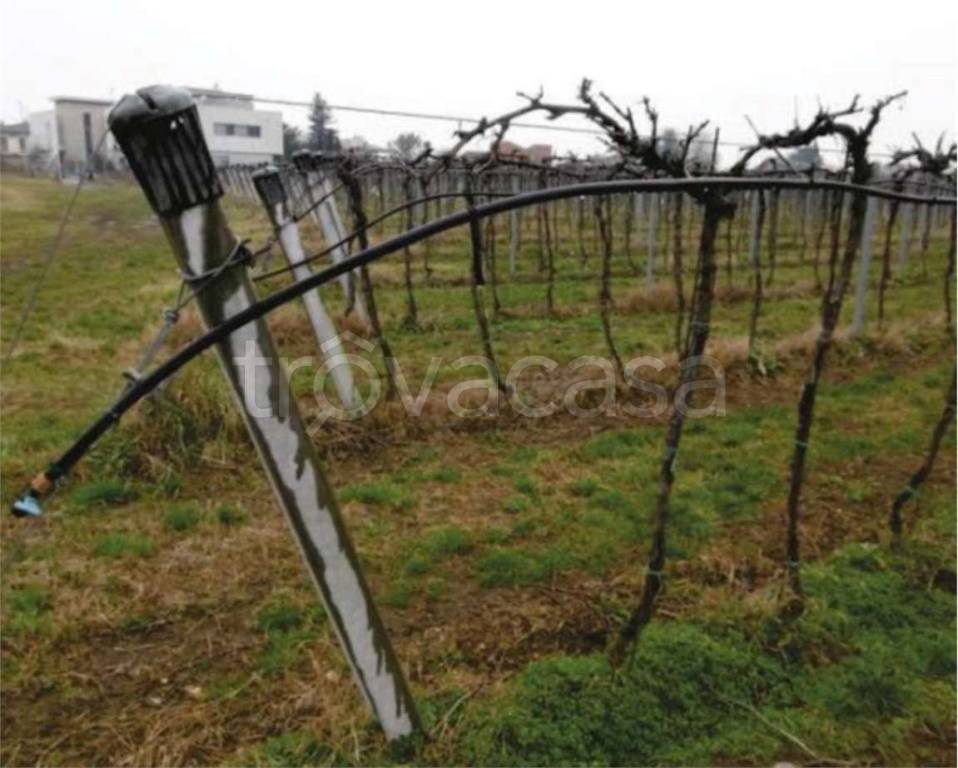 immagine annuncio 7 di 14