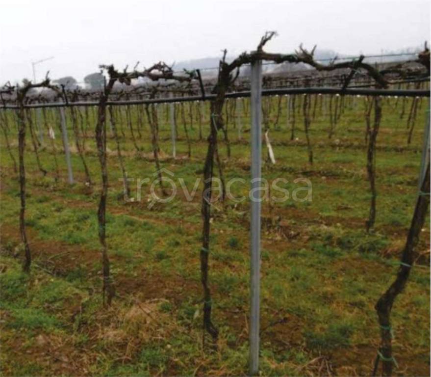 immagine annuncio 8 di 14