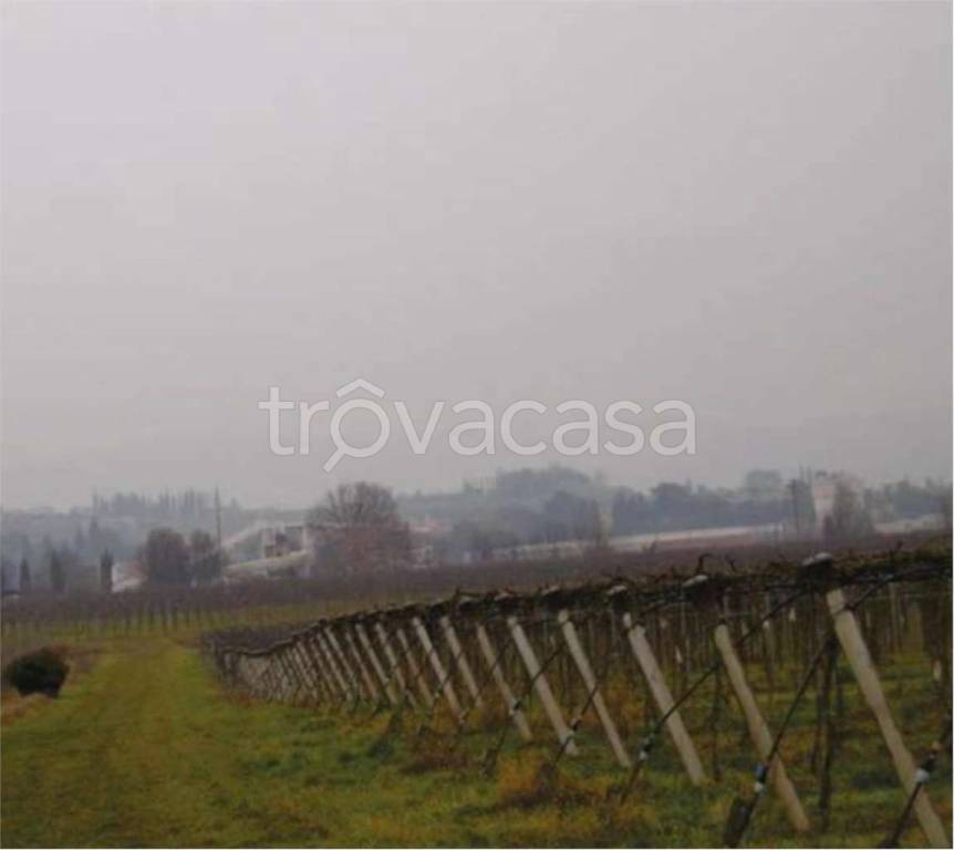 immagine annuncio 12 di 14