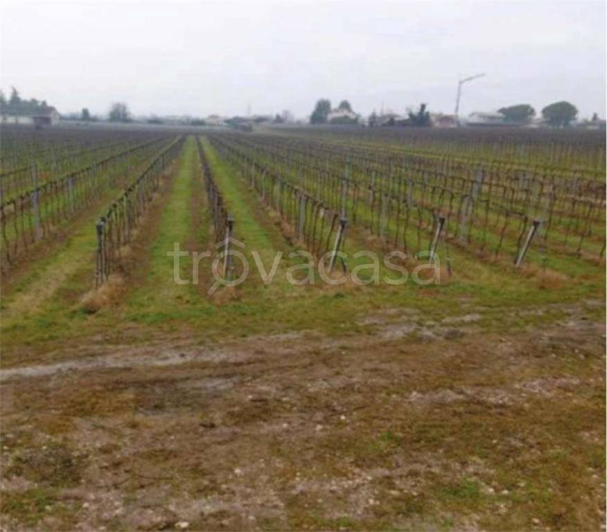 immagine annuncio 13 di 14