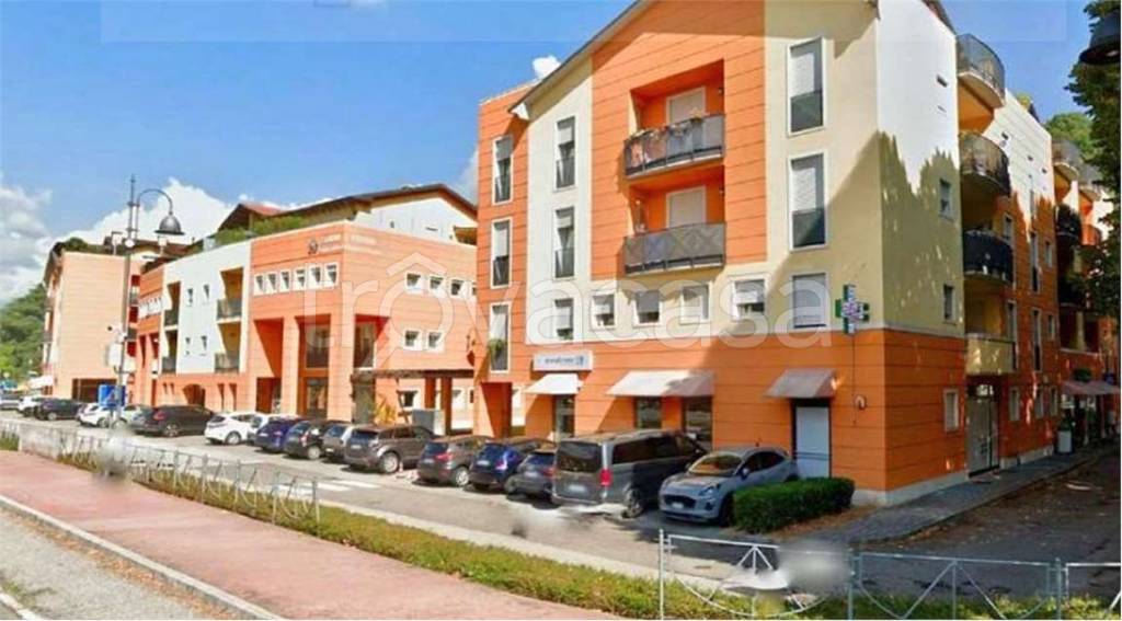 immagine annuncio 2 di 12