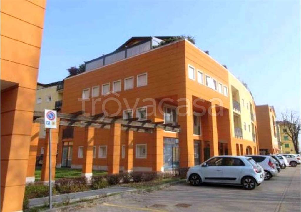 immagine annuncio 6 di 12