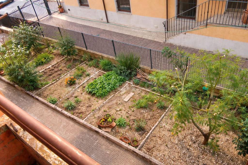 immagine annuncio 3 di 13