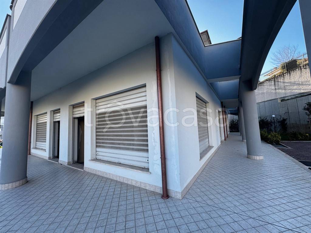 immagine annuncio 4 di 6