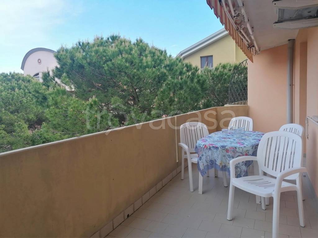 immagine annuncio 8 di 14