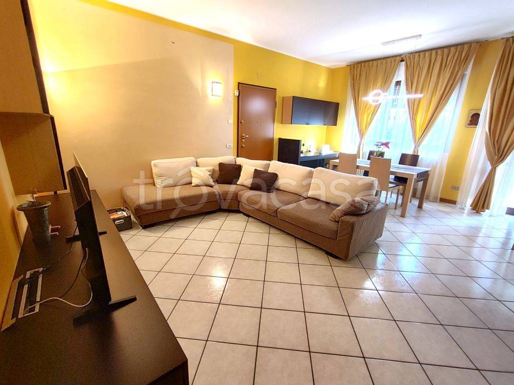 immagine annuncio 5 di 15