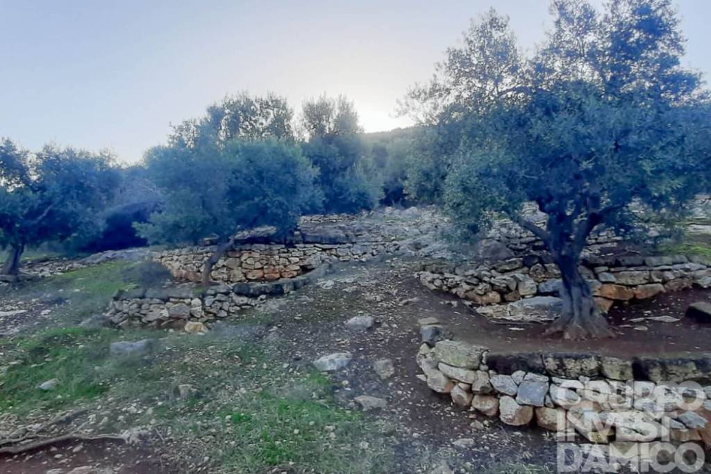 immagine annuncio 3 di 9