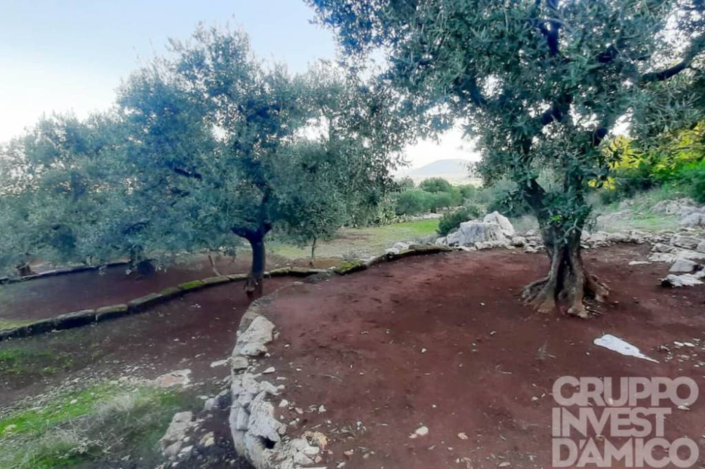 immagine annuncio 5 di 9