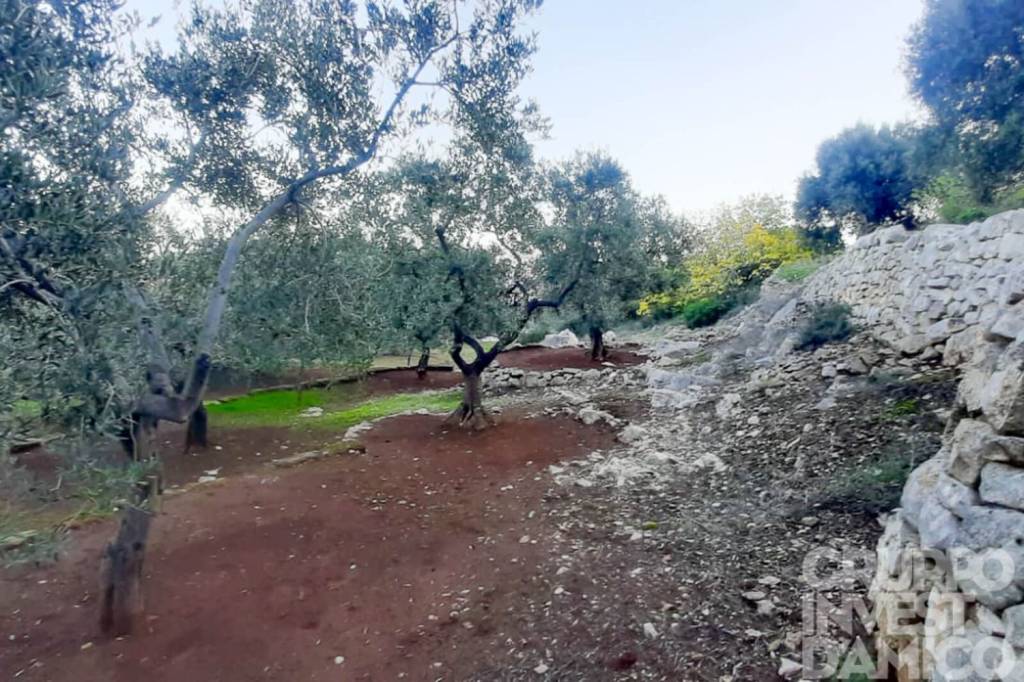 immagine annuncio 6 di 9