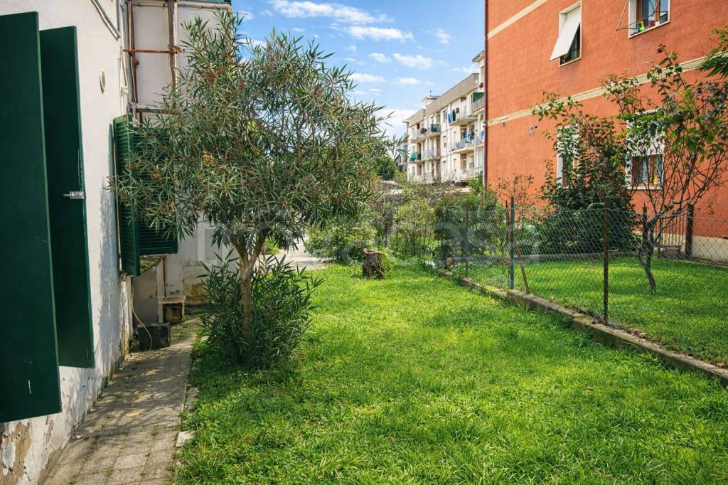 immagine annuncio 3 di 8