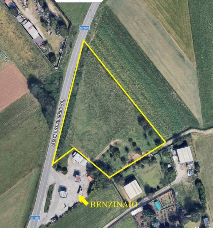 immagine annuncio 1 di 13