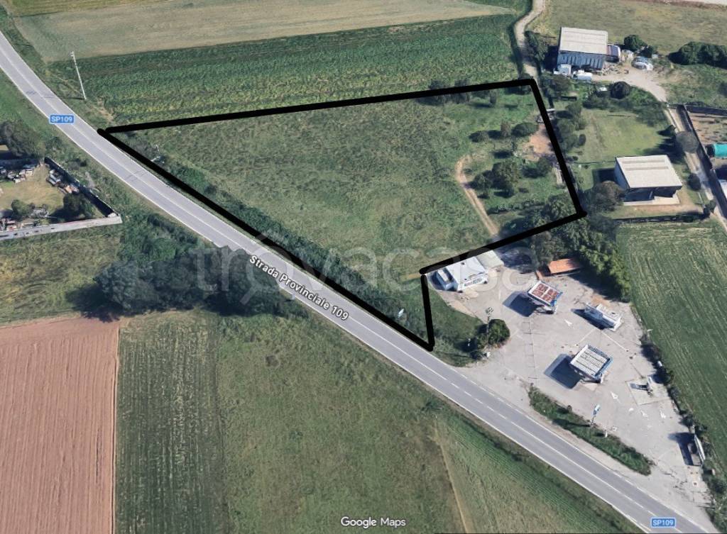 immagine annuncio 2 di 13