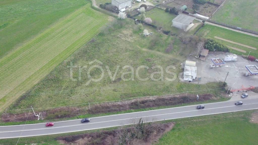 immagine annuncio 7 di 13