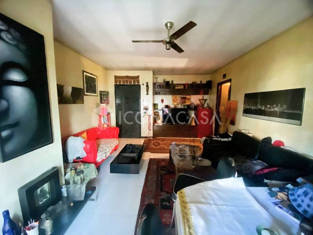 immagine annuncio 12 di 13