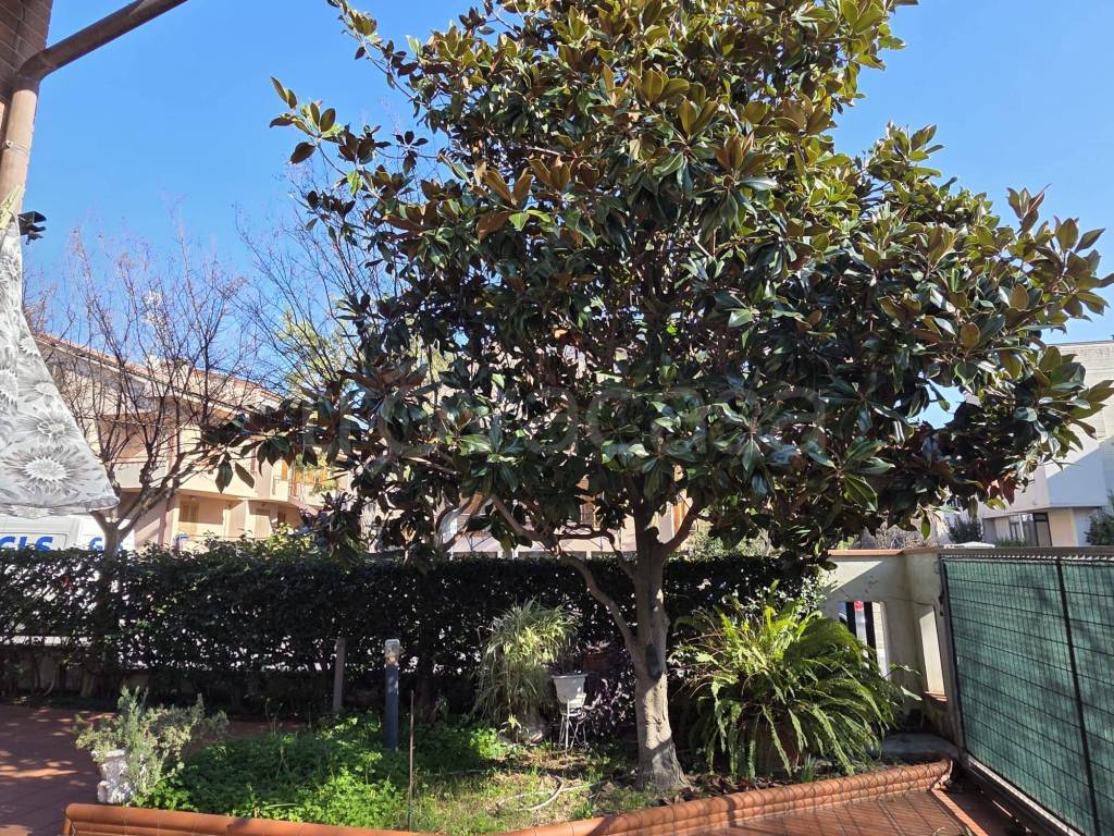 immagine annuncio 11 di 13