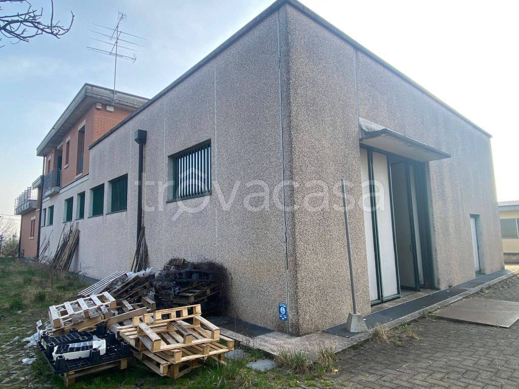 immagine annuncio 4 di 15