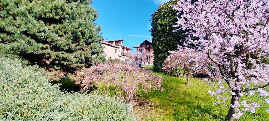 immagine annuncio 8 di 15