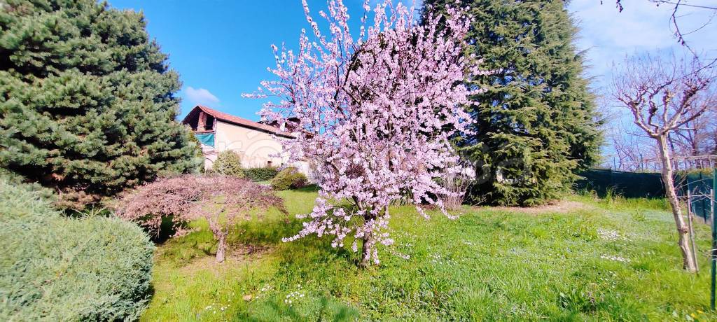 immagine annuncio 10 di 15