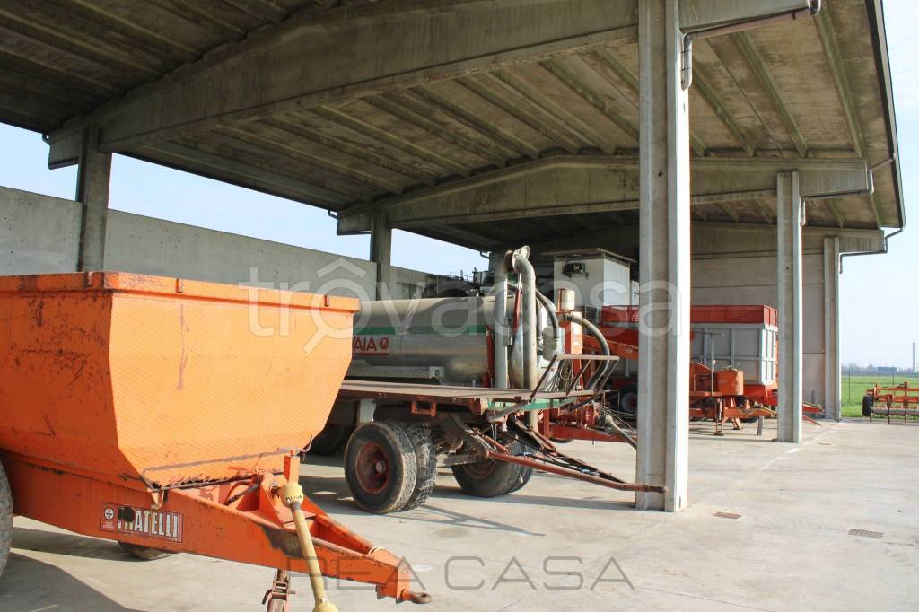 immagine annuncio 6 di 14