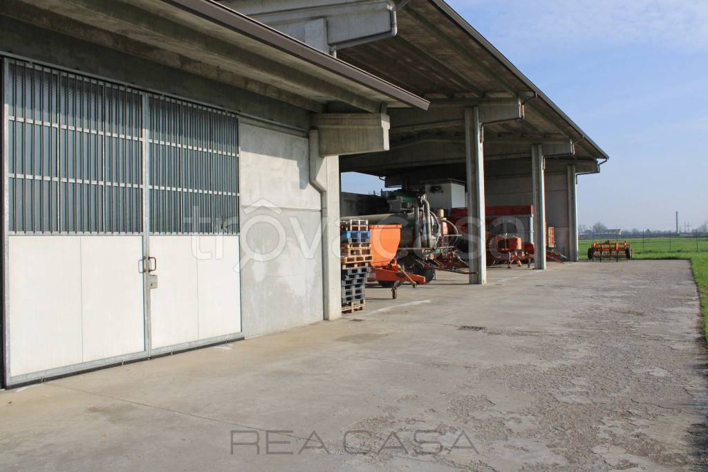 immagine annuncio 7 di 14