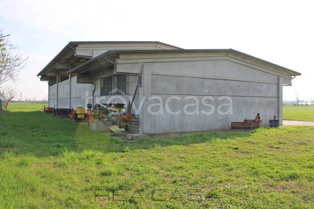 immagine annuncio 8 di 14