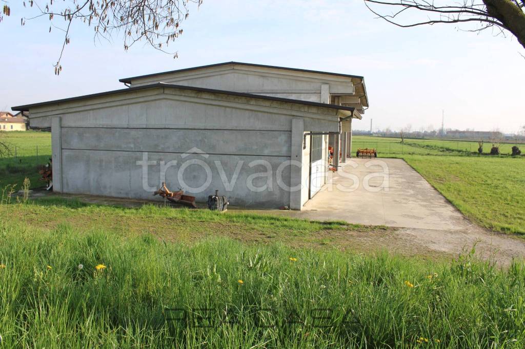 immagine annuncio 9 di 14