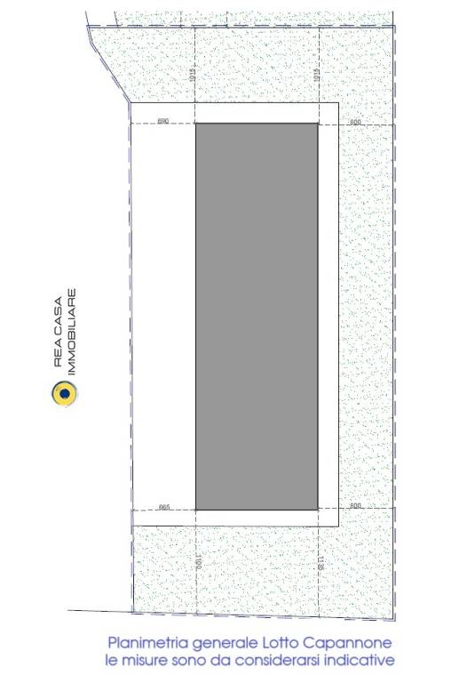 immagine annuncio 12 di 14