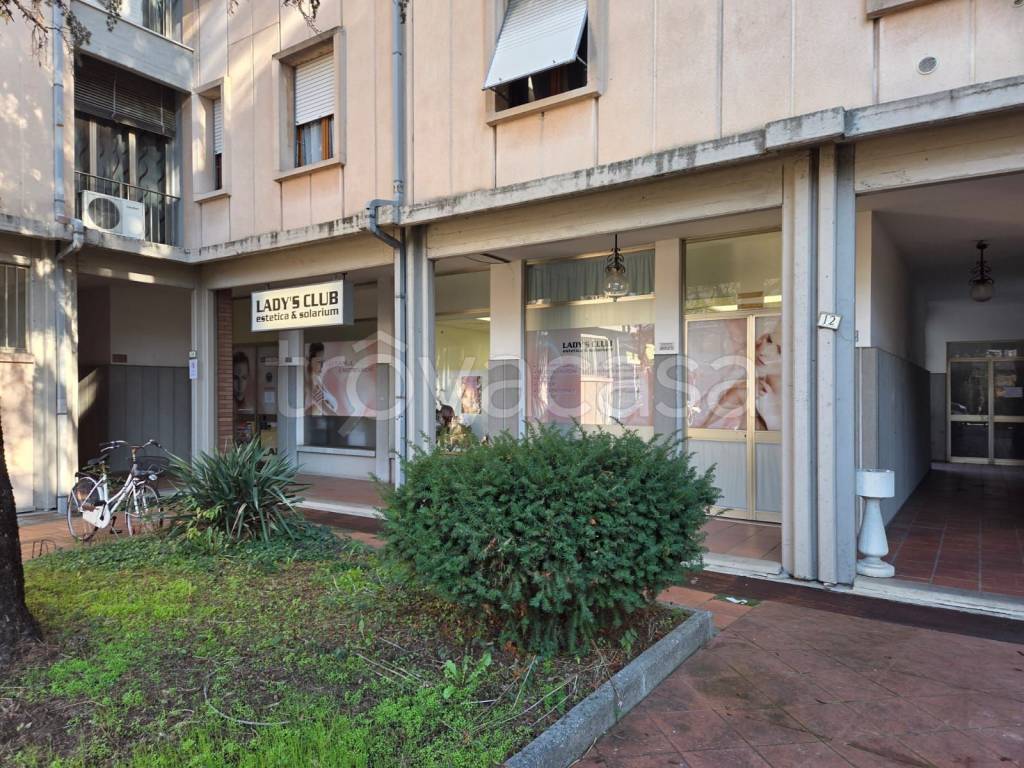 immagine annuncio 3 di 9