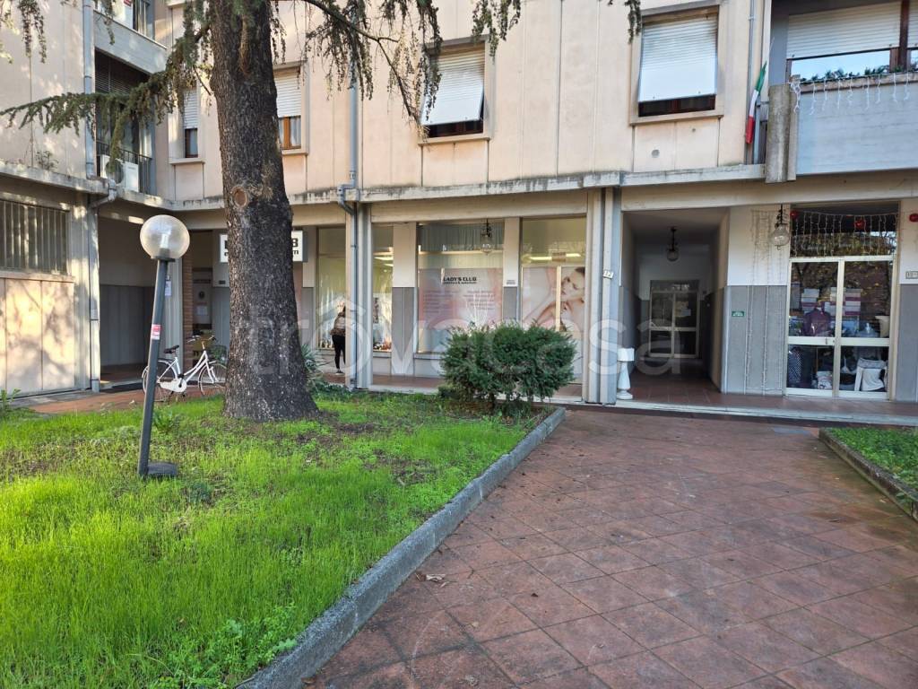 immagine annuncio 4 di 9