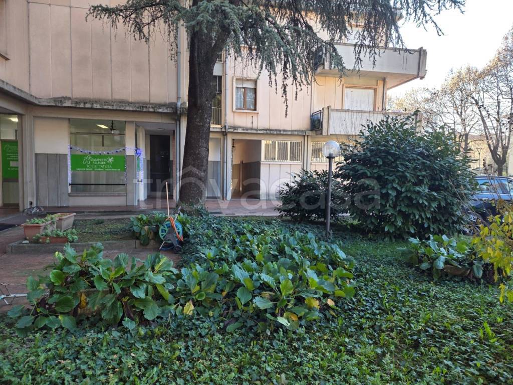 immagine annuncio 8 di 9