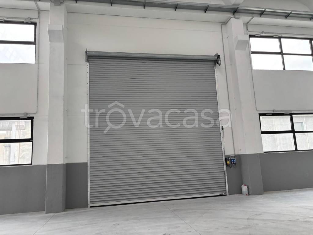 immagine annuncio 2 di 7